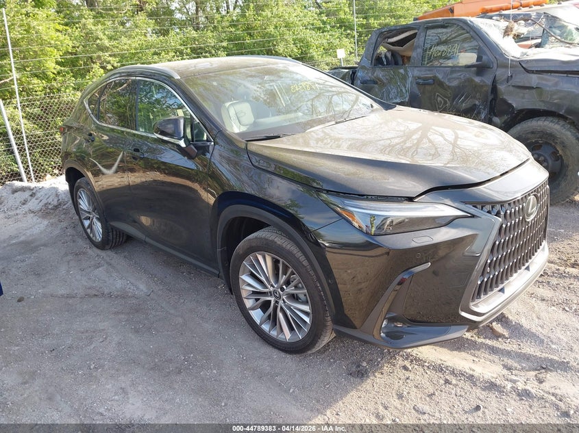 2024 LEXUS NX 350H LUXURY