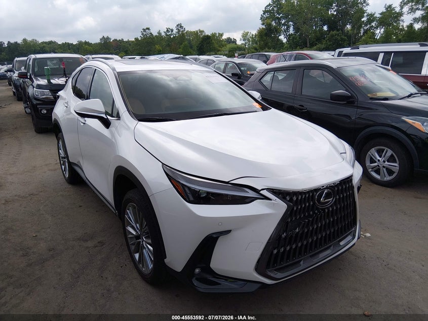 2025 LEXUS NX 350 PREMIUM